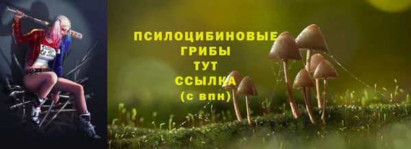 Альфа ПВП Коряжма