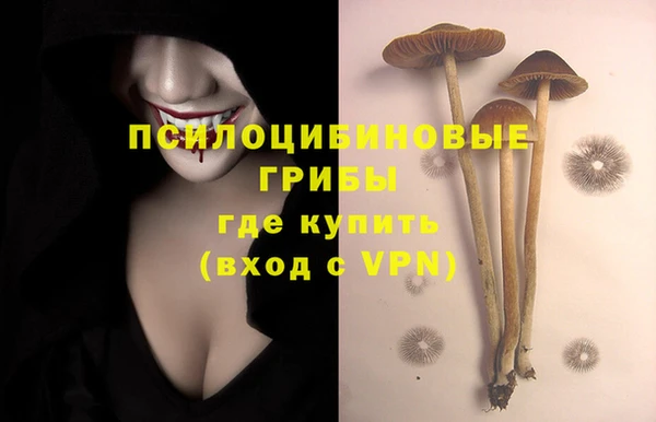 гашиш Корсаков