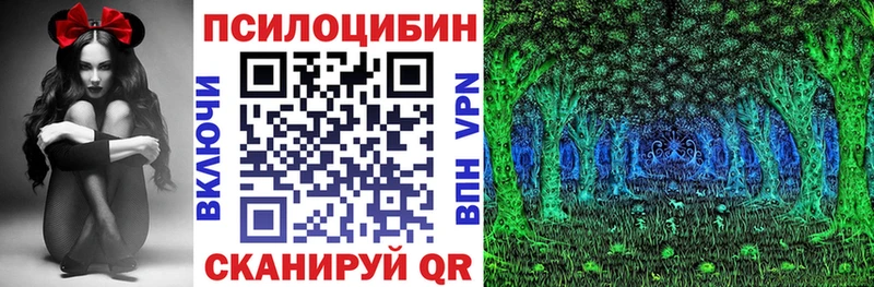 Псилоцибиновые грибы MAGIC MUSHROOMS  Купить  Малоярославец 