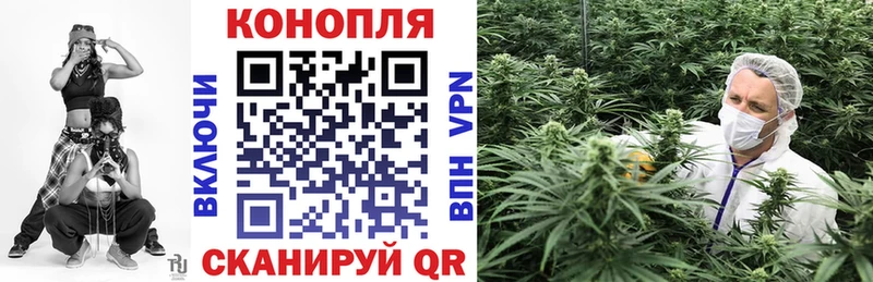Купить где  Малоярославец  Каннабис AK-47 